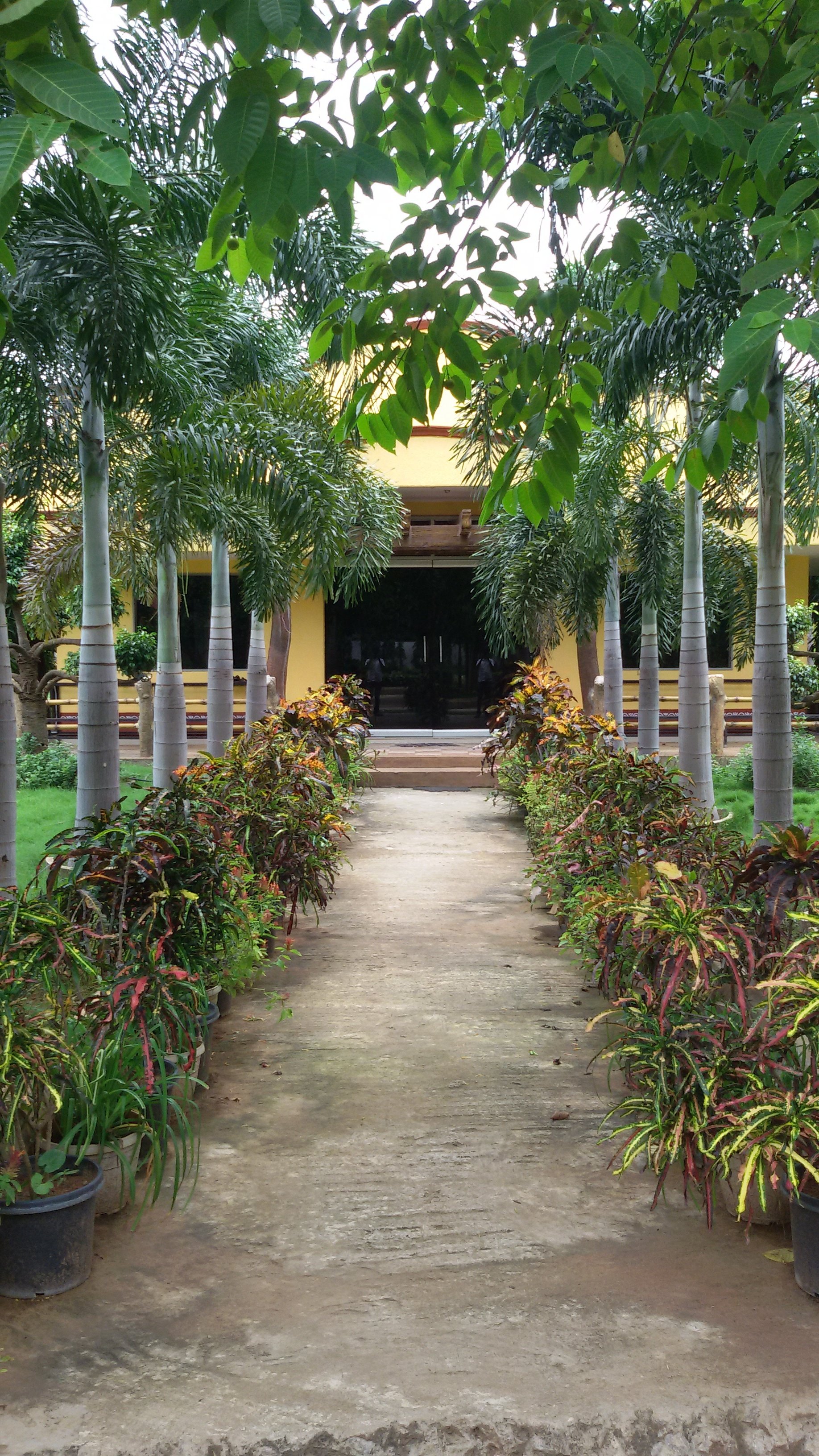 VGC Landscape Project 259